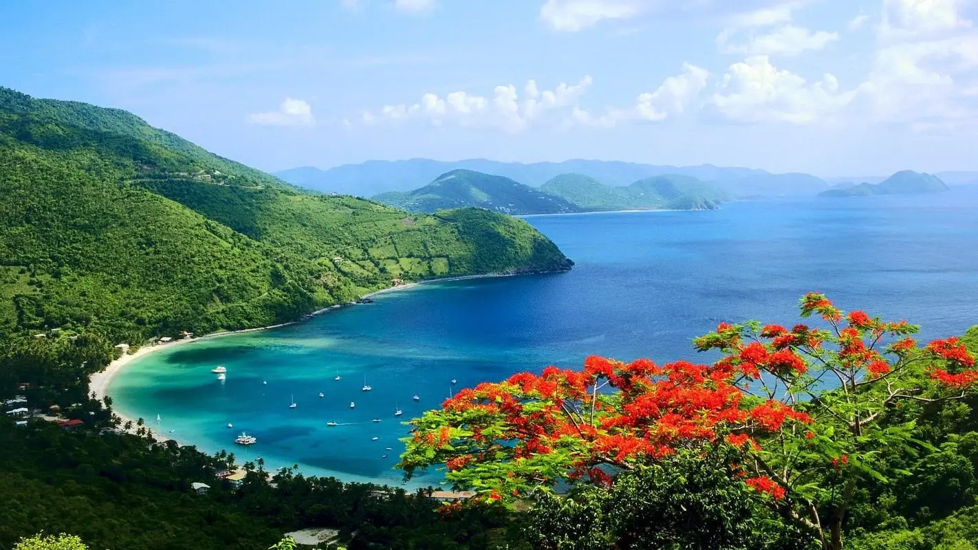 科技高端